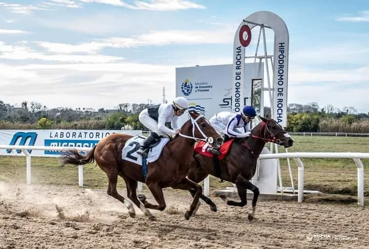 Hipódromo de Rocha